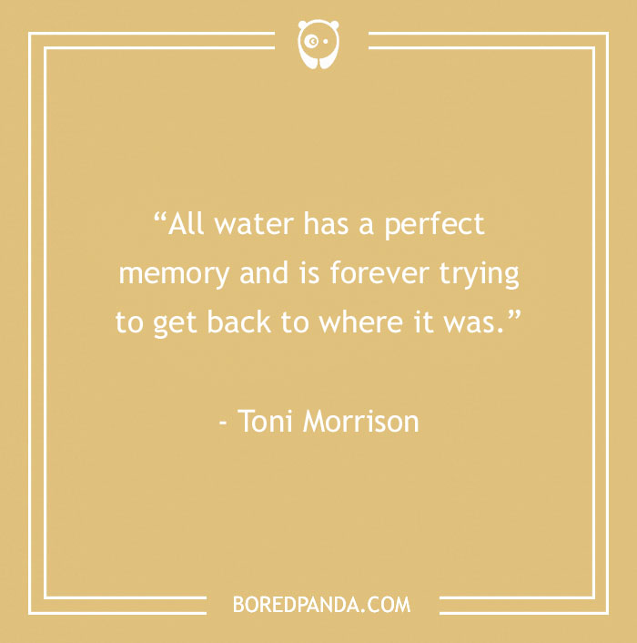 141 Nature Quotes To Help You Appreciate The Outdoors