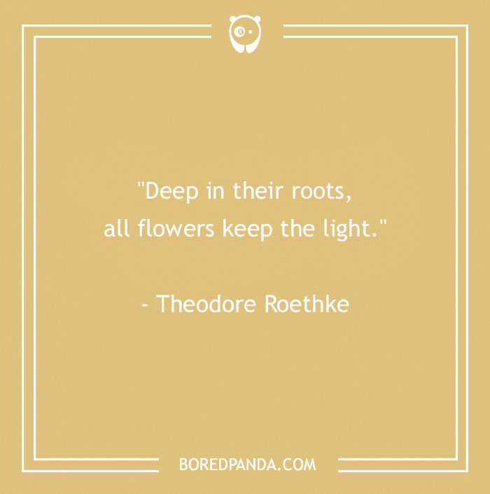 141 Nature Quotes To Help You Appreciate The Outdoors