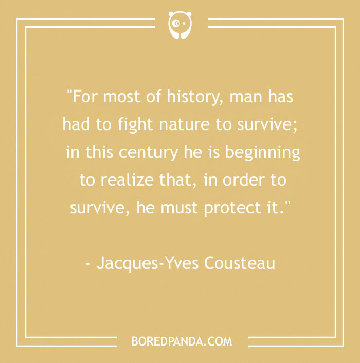 141 Nature Quotes To Help You Appreciate The Outdoors