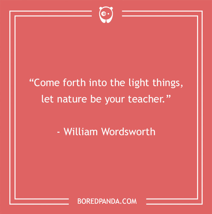 141 Nature Quotes To Help You Appreciate The Outdoors