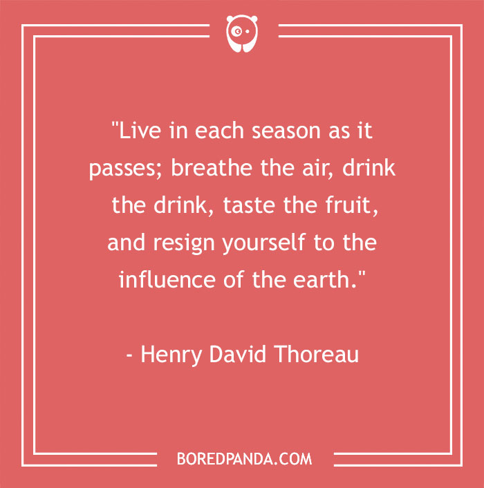 141 Nature Quotes To Help You Appreciate The Outdoors