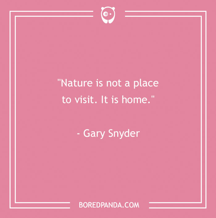 141 Nature Quotes To Help You Appreciate The Outdoors