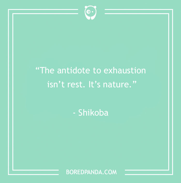 141 Nature Quotes To Help You Appreciate The Outdoors