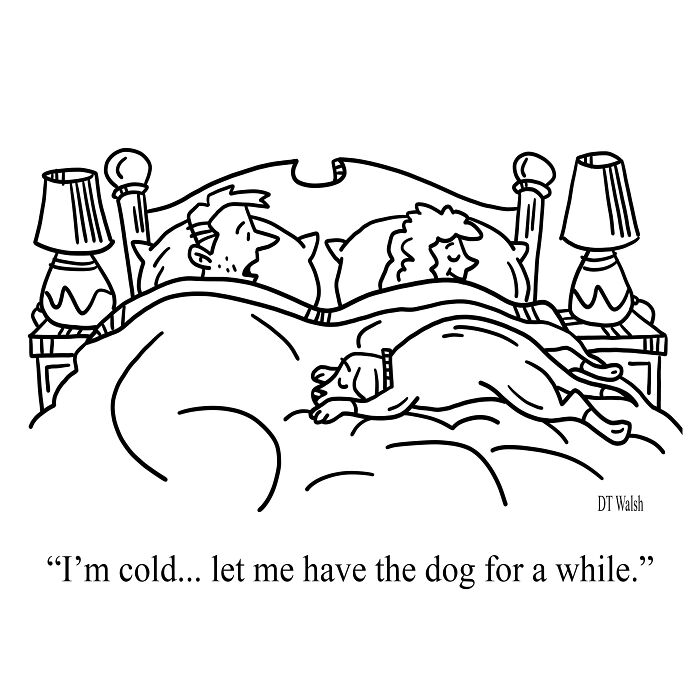 A Single-Panel Comic About Having The Dog