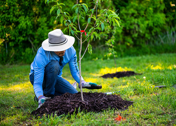 “You Think You Have Time”: 30 Things To Take Seriously, As Shared By Older Netizens
