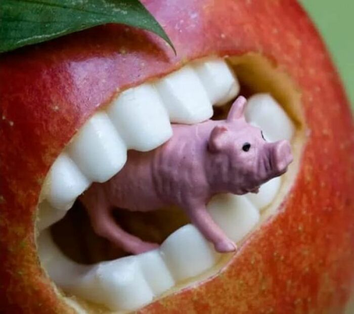 Out-Of-Context-Pictures