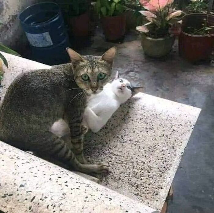 50 Weird Images That Need No Context Whatsoever To Be Hilarious, As Seen On This FB Page