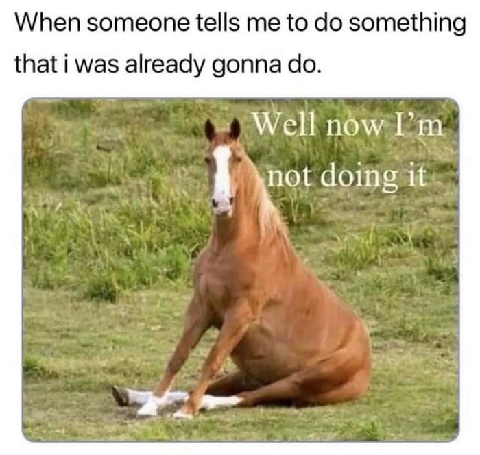 Painfully-Relatable-Work-Memes