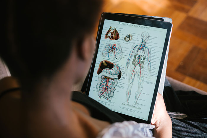 Person holding tablet displaying detailed anatomical diagrams, relating to creepy facts about the world and human body.