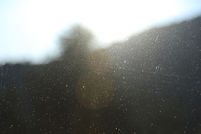 Dust particles floating in bright sunlight with blurred outdoor background, illustrating creepy facts about the world.