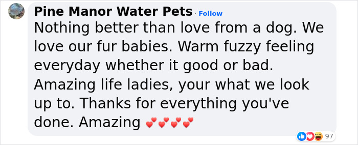 “Have Dogs, Not Kids”: 108-Year-Old Reveals Her Secret To A Long Life “Have Dogs, Not Kids”: 108-Year-Old Reveals Her Secret To A Long Life