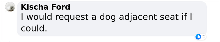 &ldquo;They Behave Better&rdquo; New Survey Shows That People Prefer Pets Over Children On Planes