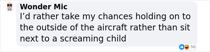 &ldquo;They Behave Better&rdquo; New Survey Shows That People Prefer Pets Over Children On Planes