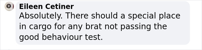 &ldquo;They Behave Better&rdquo; New Survey Shows That People Prefer Pets Over Children On Planes