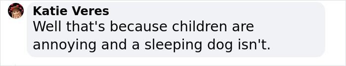 &ldquo;They Behave Better&rdquo; New Survey Shows That People Prefer Pets Over Children On Planes