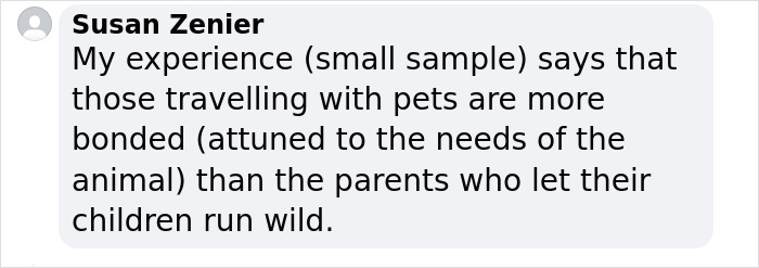 &ldquo;They Behave Better&rdquo; New Survey Shows That People Prefer Pets Over Children On Planes