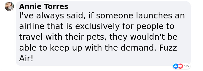 &ldquo;They Behave Better&rdquo; New Survey Shows That People Prefer Pets Over Children On Planes