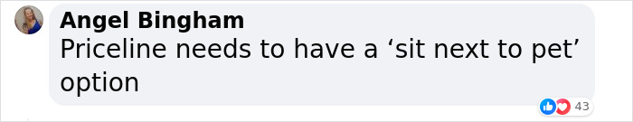 &ldquo;They Behave Better&rdquo; New Survey Shows That People Prefer Pets Over Children On Planes