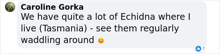 Scientists &ldquo;Delighted&rdquo; To Discover That A Bizarre 200-Million-Year-Old Species Isn&rsquo;t Extinct