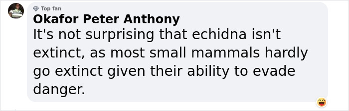 Scientists &ldquo;Delighted&rdquo; To Discover That A Bizarre 200-Million-Year-Old Species Isn&rsquo;t Extinct