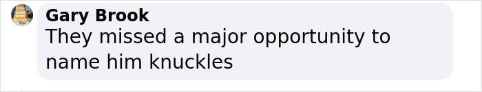 Scientists &ldquo;Delighted&rdquo; To Discover That A Bizarre 200-Million-Year-Old Species Isn&rsquo;t Extinct