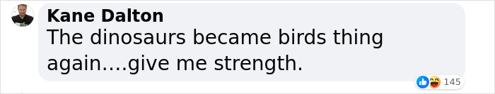 Scientists Unveil “Most Complete Dinosaur Embryo Ever,” Solving Mysteries About Species Growth Scientists Unveil “Most Complete Dinosaur Embryo Ever,” Solving Mysteries About Species Growth