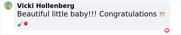 &ldquo;It&rsquo;s An Incredible Event&rdquo;: Critically Endangered Sumatran Rhino Welcomes Her First Baby Calf