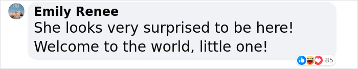 &ldquo;It&rsquo;s An Incredible Event&rdquo;: Critically Endangered Sumatran Rhino Welcomes Her First Baby Calf