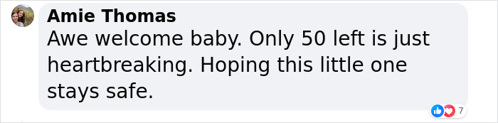 &ldquo;It&rsquo;s An Incredible Event&rdquo;: Critically Endangered Sumatran Rhino Welcomes Her First Baby Calf