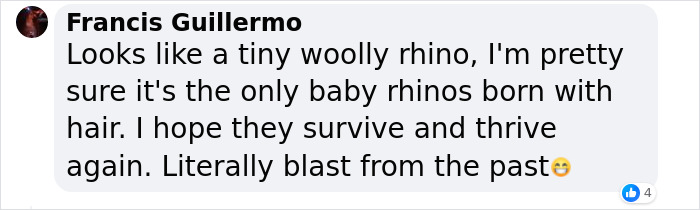 &ldquo;It&rsquo;s An Incredible Event&rdquo;: Critically Endangered Sumatran Rhino Welcomes Her First Baby Calf