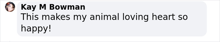 &ldquo;It&rsquo;s An Incredible Event&rdquo;: Critically Endangered Sumatran Rhino Welcomes Her First Baby Calf