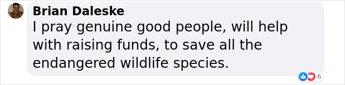 &ldquo;It&rsquo;s An Incredible Event&rdquo;: Critically Endangered Sumatran Rhino Welcomes Her First Baby Calf