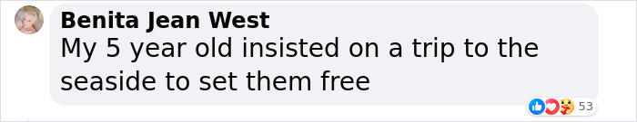 The Dark Truth Behind Childhood Staple Sea Monkeys Emerges Online