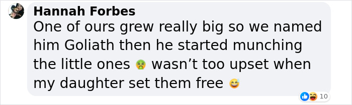 The Dark Truth Behind Childhood Staple Sea Monkeys Emerges Online