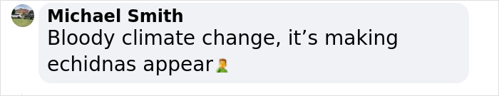 Scientists &ldquo;Delighted&rdquo; To Discover That A Bizarre 200-Million-Year-Old Species Isn&rsquo;t Extinct