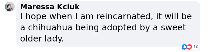 &ldquo;Gucci Brought Joy Into The House&rdquo;: Unwanted 11 Y.O. Dog Adopted By 100 Y.O. Woman