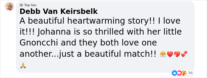 &ldquo;Gucci Brought Joy Into The House&rdquo;: Unwanted 11 Y.O. Dog Adopted By 100 Y.O. Woman