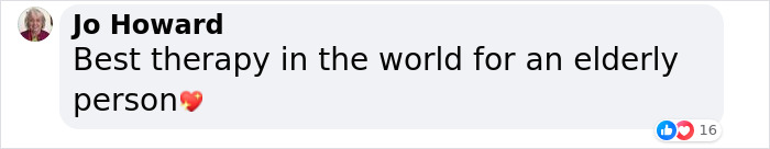 &ldquo;Gucci Brought Joy Into The House&rdquo;: Unwanted 11 Y.O. Dog Adopted By 100 Y.O. Woman