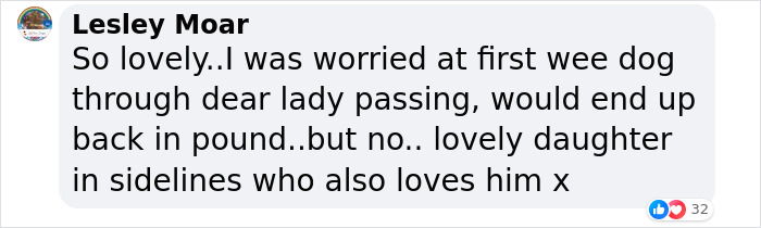 &ldquo;Gucci Brought Joy Into The House&rdquo;: Unwanted 11 Y.O. Dog Adopted By 100 Y.O. Woman