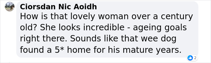 &ldquo;Gucci Brought Joy Into The House&rdquo;: Unwanted 11 Y.O. Dog Adopted By 100 Y.O. Woman