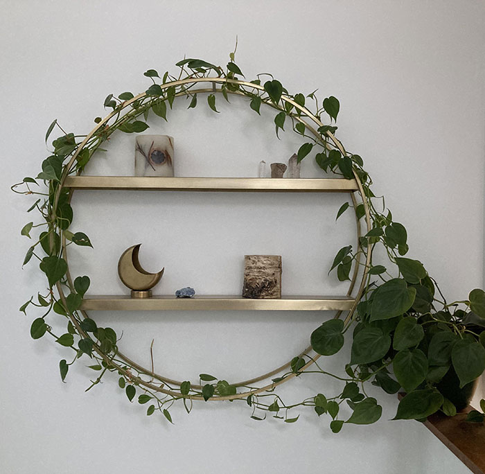 Heartleaf Philodendron of a circled hanging pot on the wall 