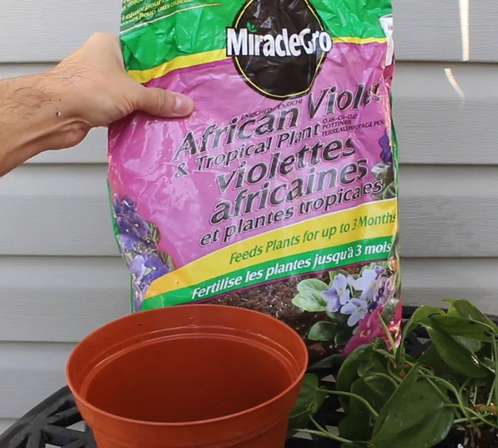 Person preparing the pot