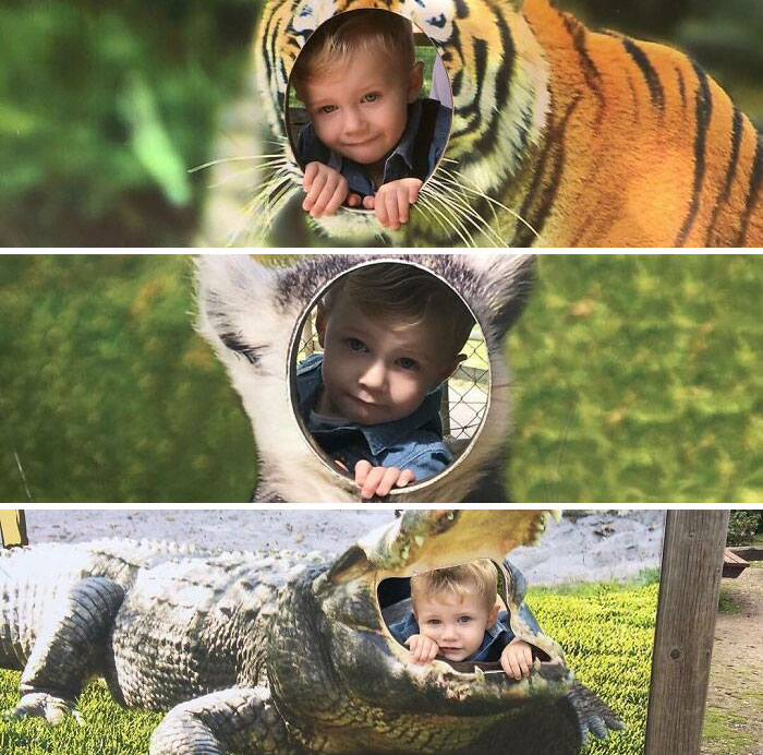 This Isn't How Animal Faces Work, I'm Sure