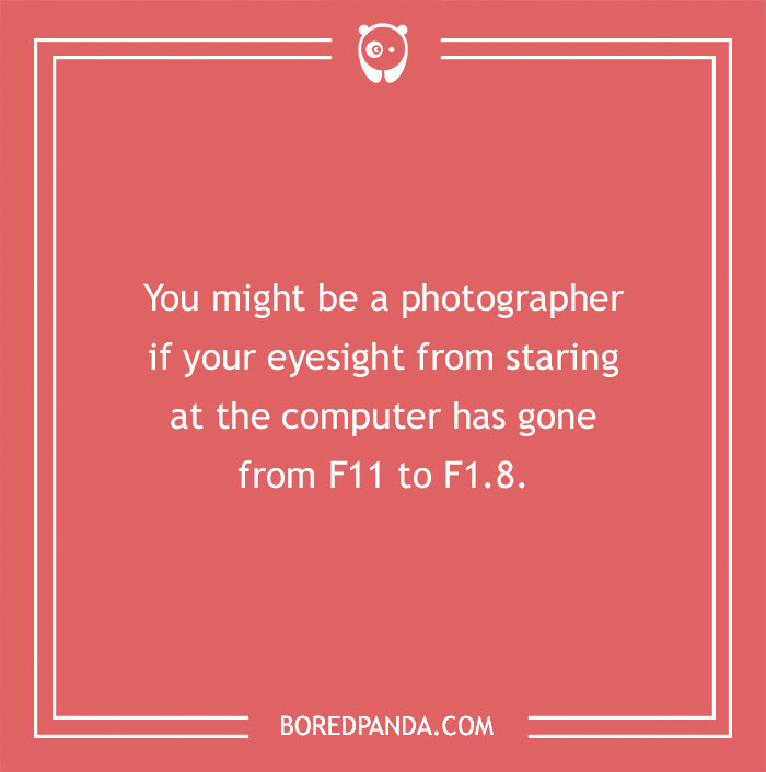 115 Photography Jokes That Shutterbugs Will Be Fond Of