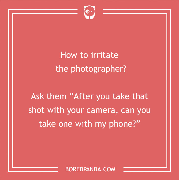 115 Photography Jokes That Shutterbugs Will Be Fond Of