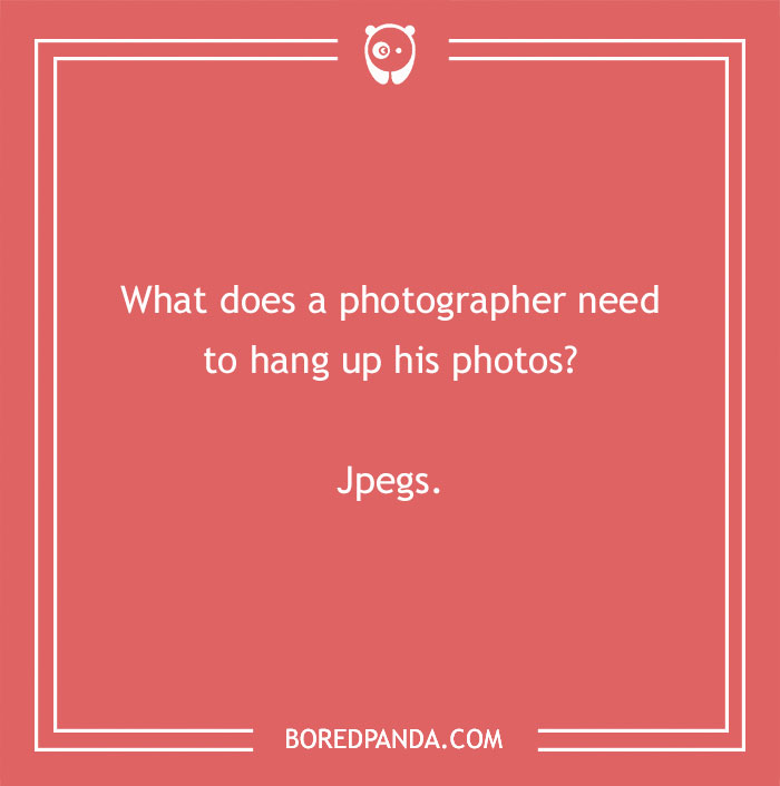 115 Photography Jokes That Shutterbugs Will Be Fond Of