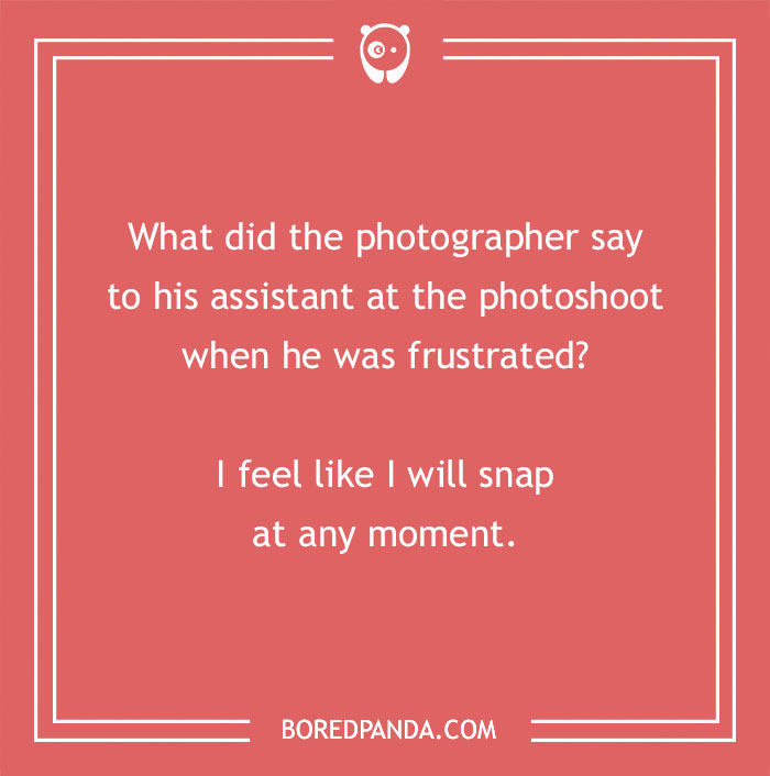 115 Photography Jokes That Shutterbugs Will Be Fond Of