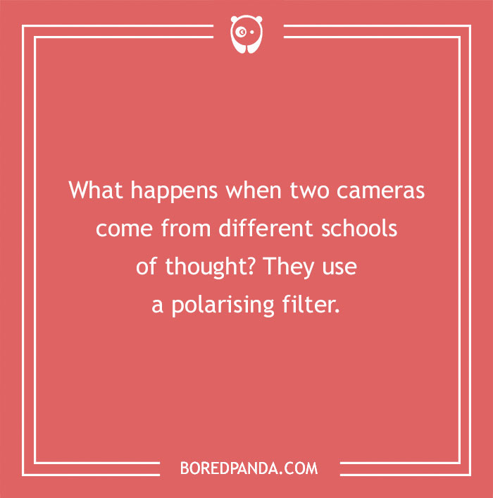 115 Photography Jokes That Shutterbugs Will Be Fond Of