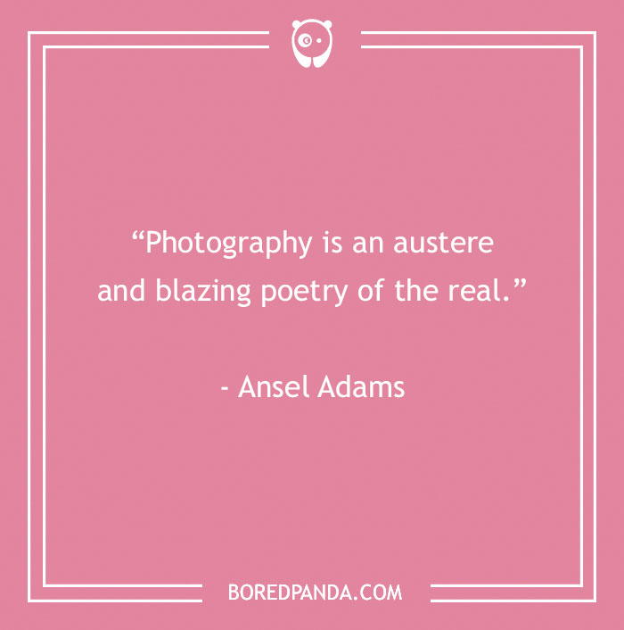 144 Inspiring Photography Quotes To Pause And Take A Photo - 27