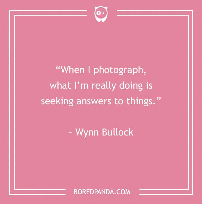 144 Inspiring Photography Quotes To Pause And Take A Photo - 28